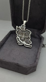 گردنبند ایران فروهر جنس استیل رنگ ثابت با ضمانت بازگشت وجه